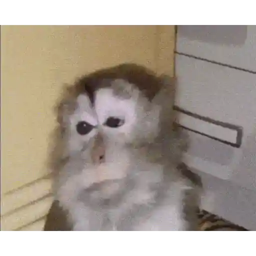 Gif del tiktok #1