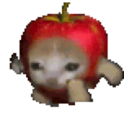 Gif del tiktok #1