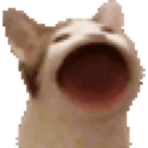 Gif del tiktok #1