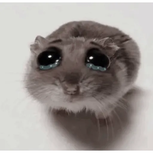 Gif del tiktok #1