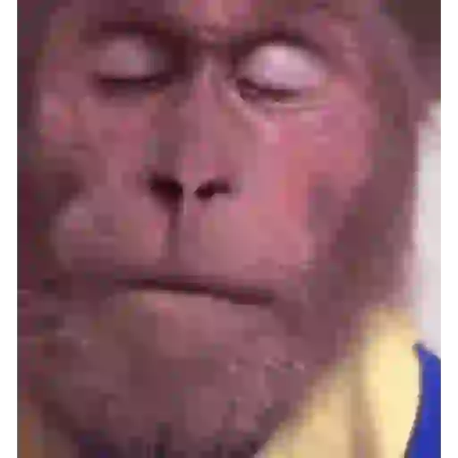 Gif del tiktok #1