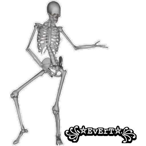 Esqueleto