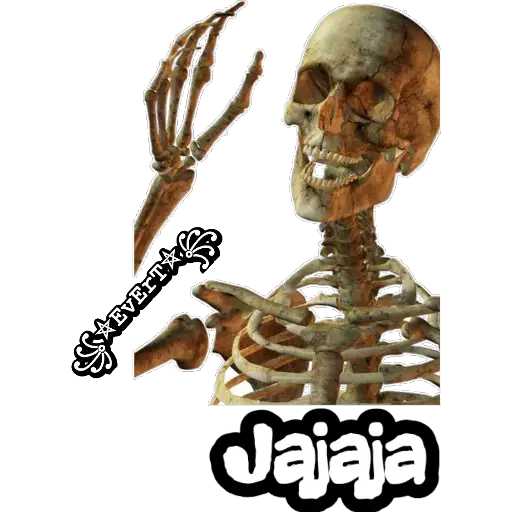 Esqueleto