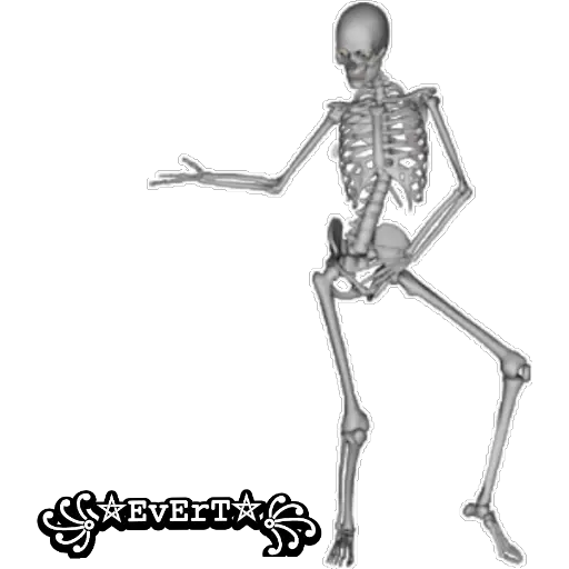 Esqueleto