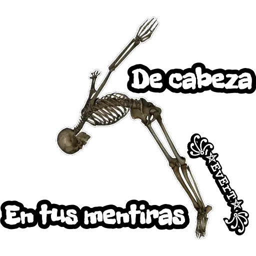 Esqueleto