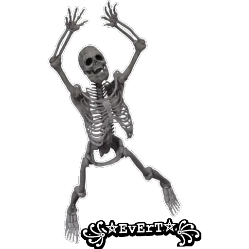 Esqueleto