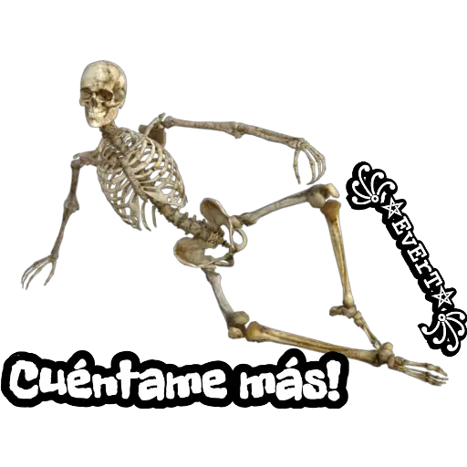 Esqueleto