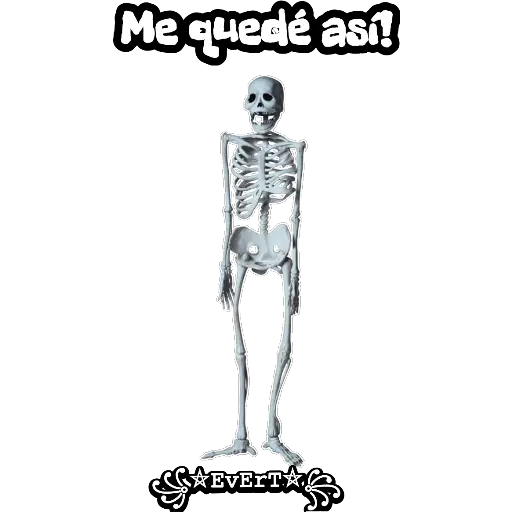 Esqueleto