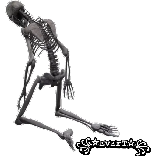 Esqueleto