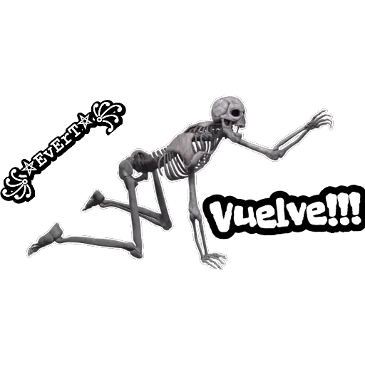 Esqueleto