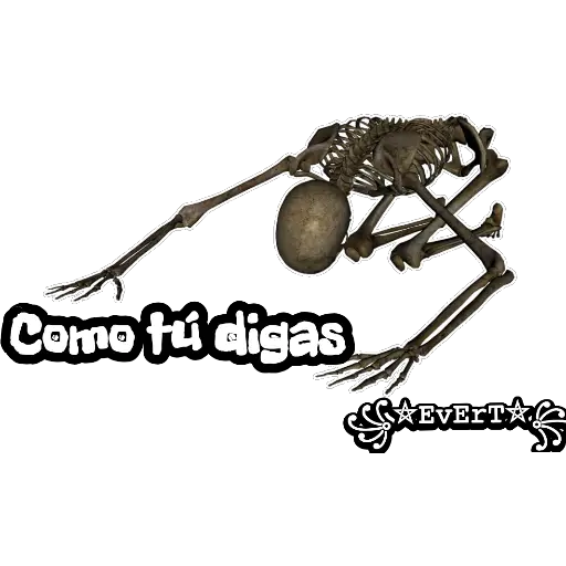 Esqueleto