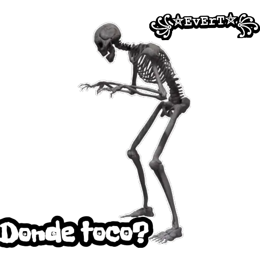 Esqueleto
