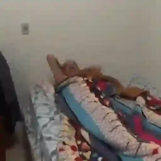 Novos memes 4