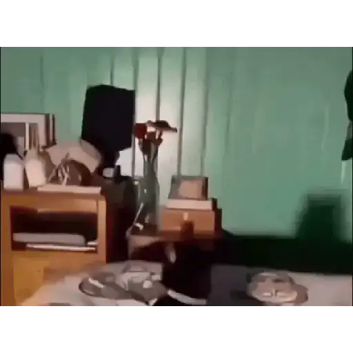Novos memes 4