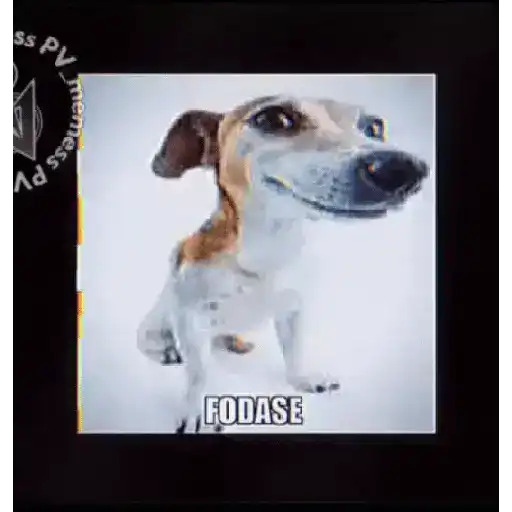Novos memes 4