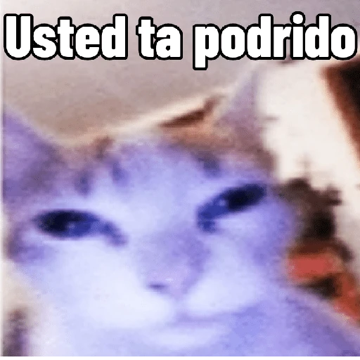 dsergio