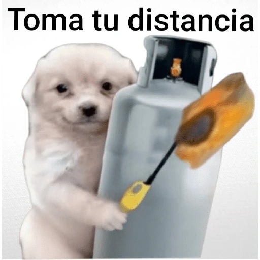 dsergio