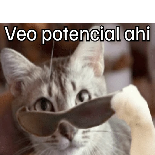 dsergio