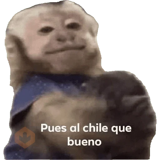 Reacciones varias sticker 12