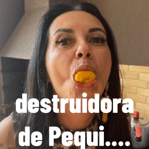 Minhas figurinhas sticker 21