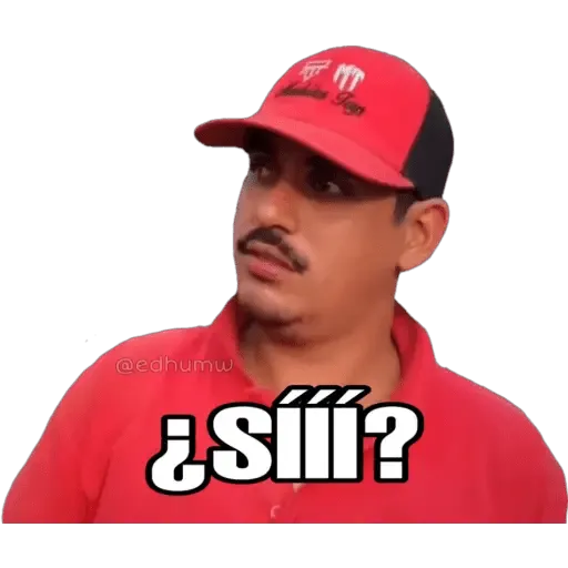 Los Toys. 