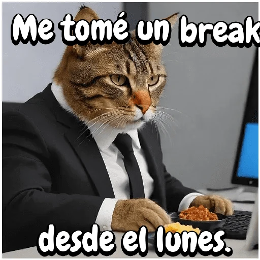 Gato trabajando!🐈‍⬛🏢💻