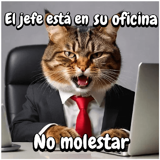 Gato trabajando!🐈‍⬛🏢💻 preview