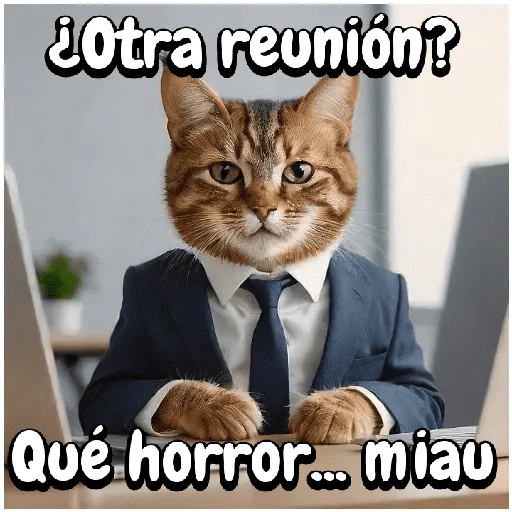 Gato trabajando!🐈‍⬛🏢💻