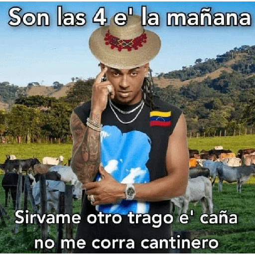Venezuela Stickers🔥