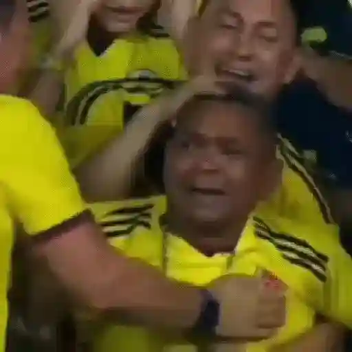 Selección Colombia Animados