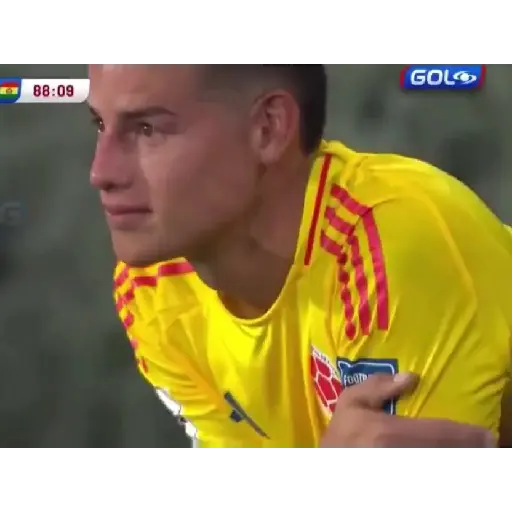 Selección Colombia Animados