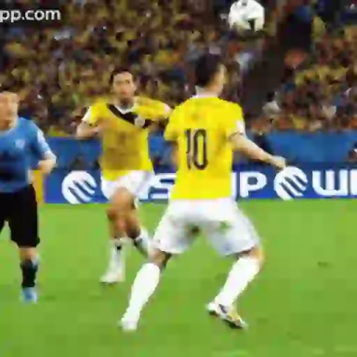 Stickers (Selección Colombia🇨🇴)