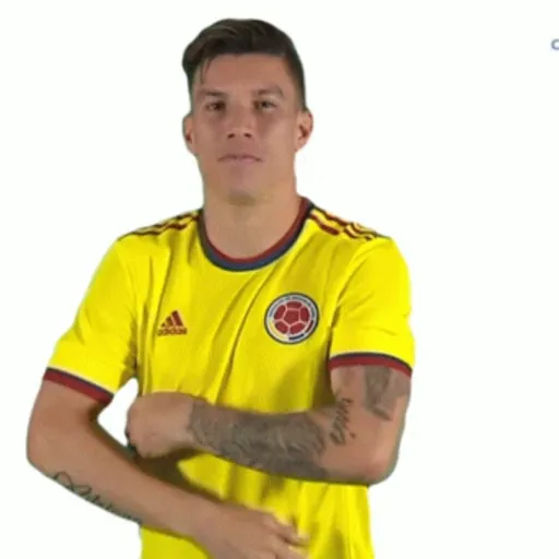 Stickers (Selección Colombia🇨🇴) preview