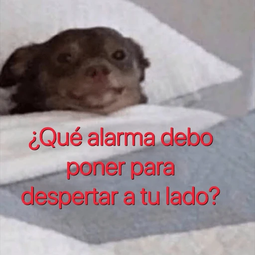 Chisme