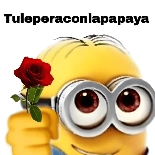 Minions locura 3💛Omg ono beba