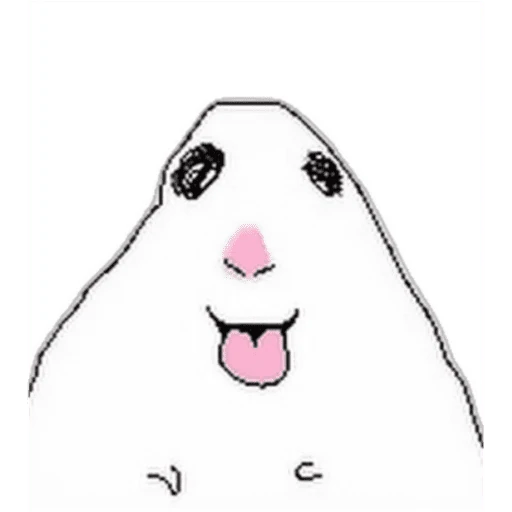 hamsters