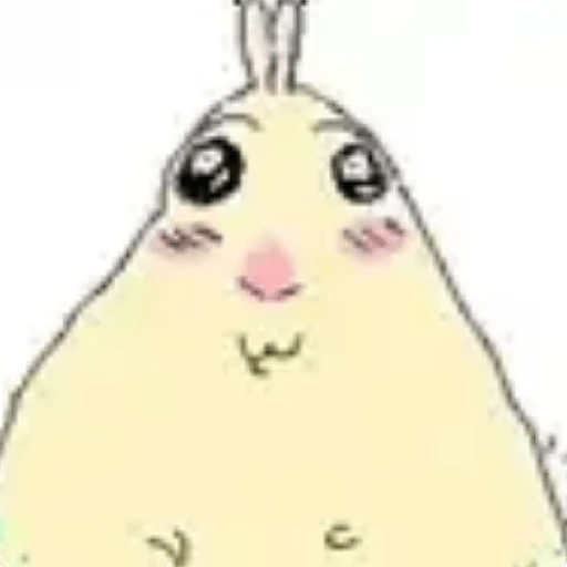 hamster⁷ 🐹 meme