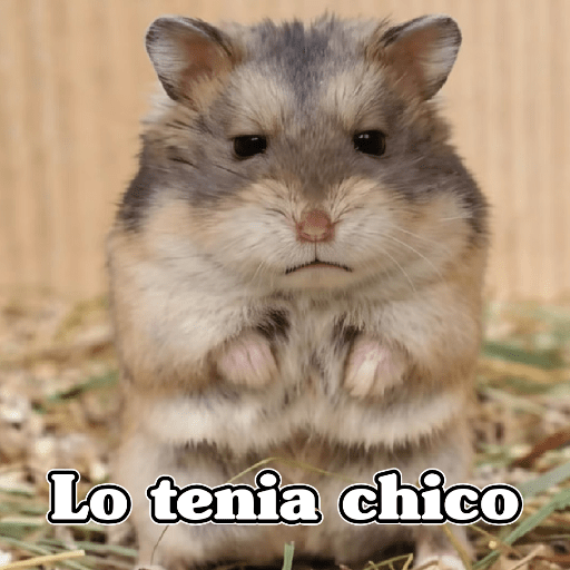 🧿Raton y Hamster🐹🐀 preview