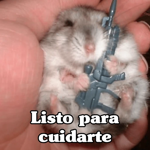 🧿Raton y Hamster🐹🐀