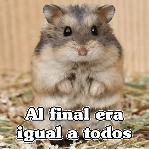 🧿Raton y Hamster🐹🐀