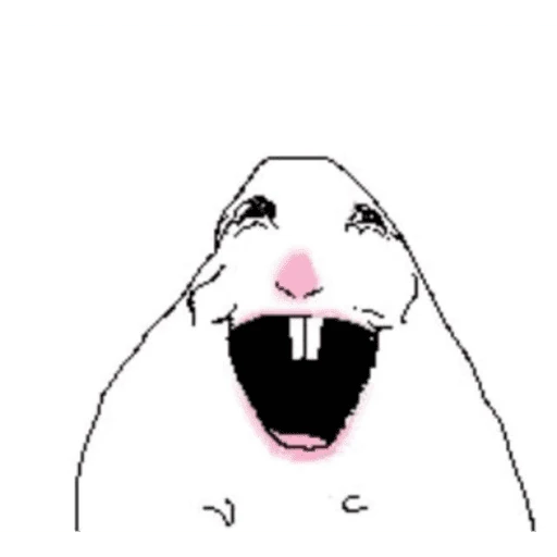 hamsters