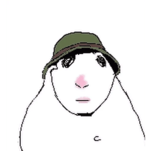 hamsters