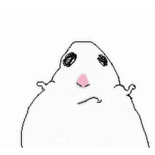 hamsters