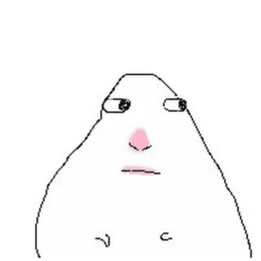 hamsters