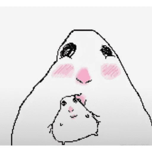 hamster tiktok