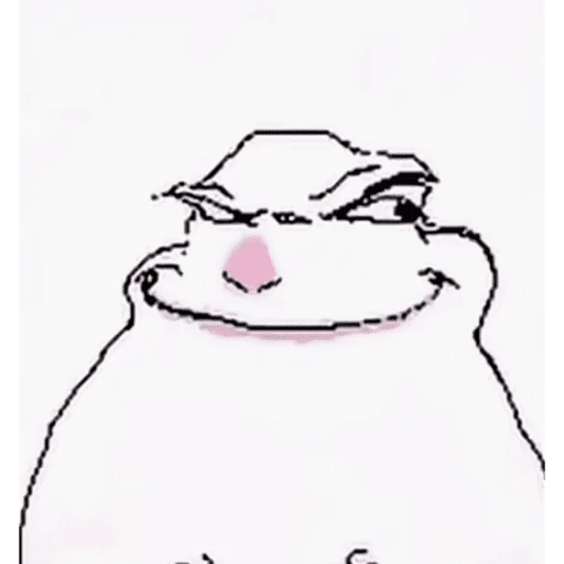 hamster tiktok