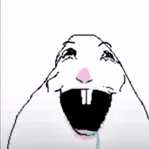 hamster tiktok
