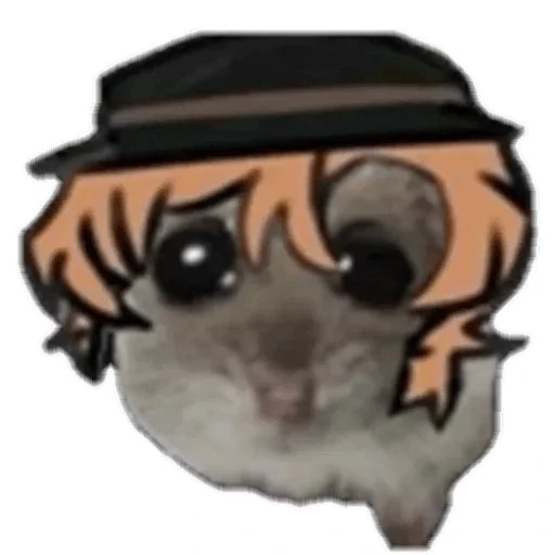 hamster da zueira