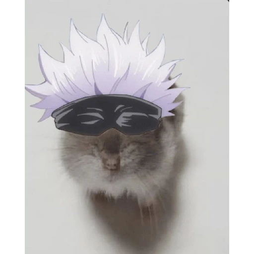hamster da zueira