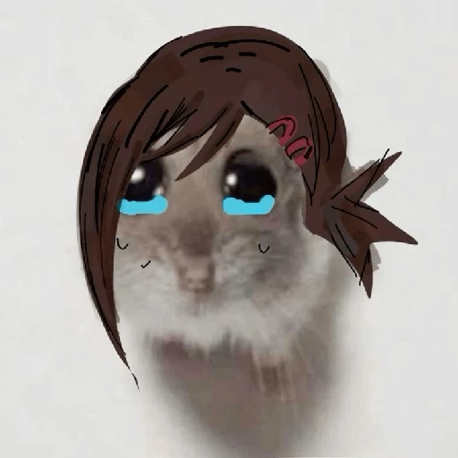 hamster da zueira